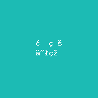 思特佳美